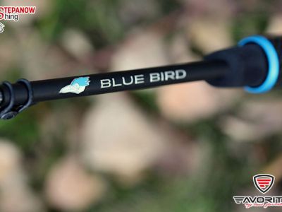 Wędzisko Spinningowe NOWY BLUE BIRD BB1-732UL-S / 2,22m / 1 - 7g /